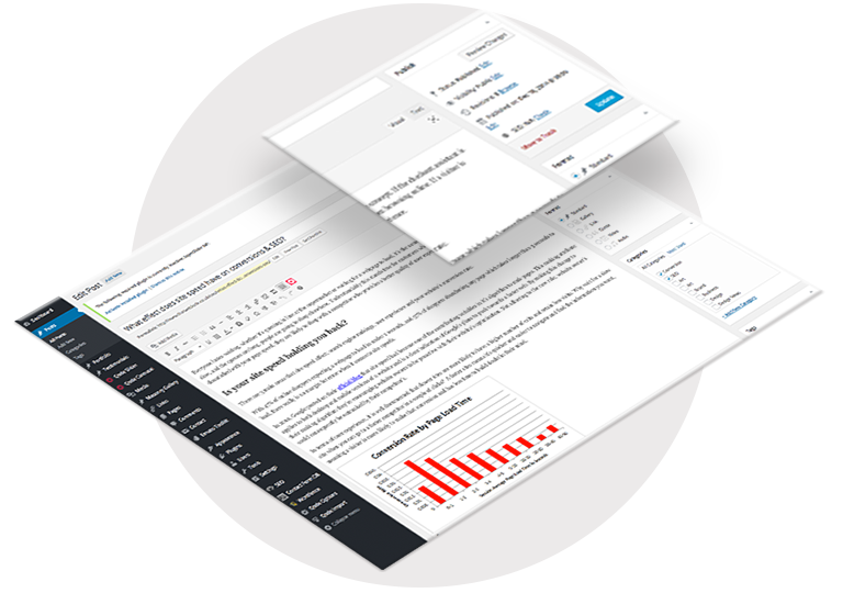 cms WordPress Website Content Management System